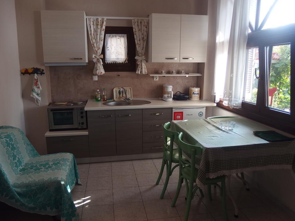 Villa Iris Vrasná Buitenkant foto
